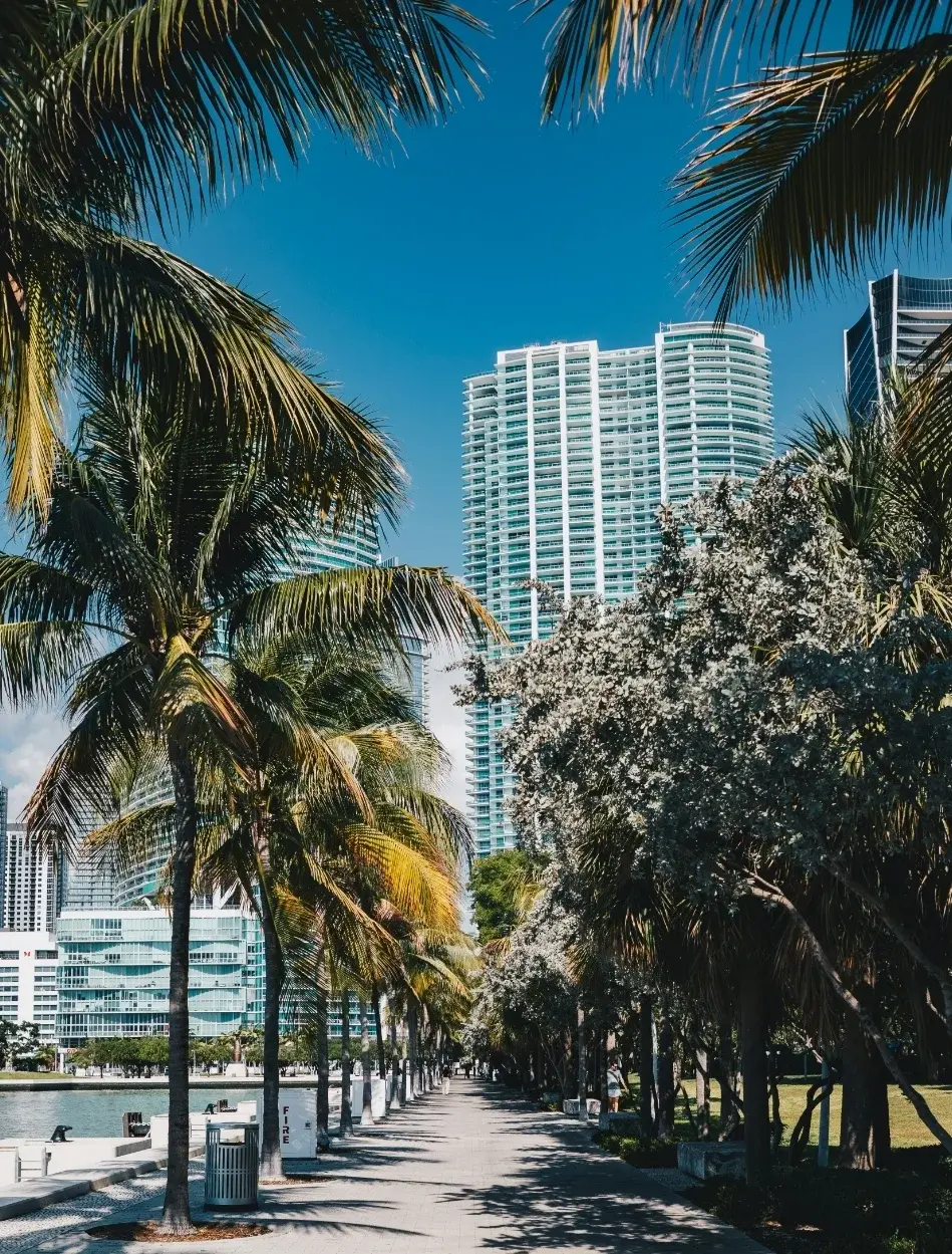 Brickell body large image